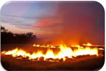 Rice straw burning - common practice in many countries